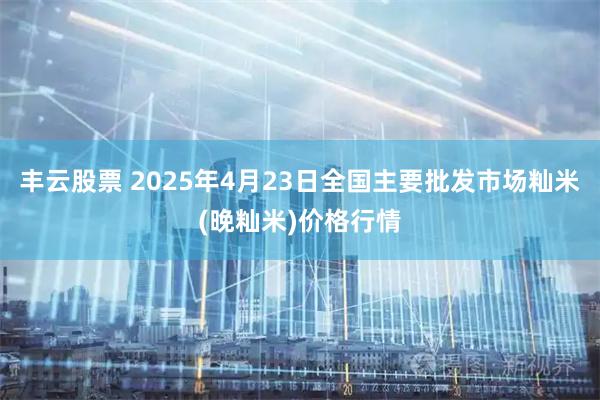丰云股票 2025年4月23日全国主要批发市场籼米(晚籼米)价格行情